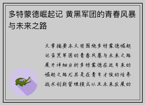 多特蒙德崛起记 黄黑军团的青春风暴与未来之路 多特蒙德崛起记 黄黑军团的青春风暴与未来之路
