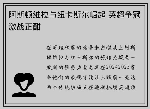 阿斯顿维拉与纽卡斯尔崛起 英超争冠激战正酣 阿斯顿维拉与纽卡斯尔崛起 英超争冠激战正酣